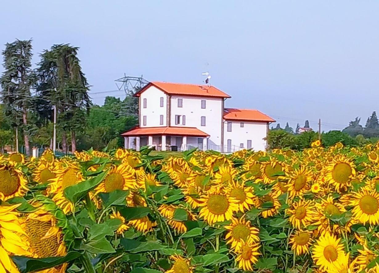 La Collinetta B&B Crespellano Exterior foto