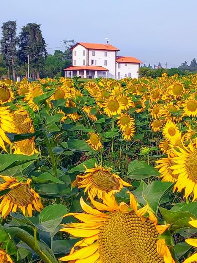 La Collinetta B&B Crespellano Exterior foto
